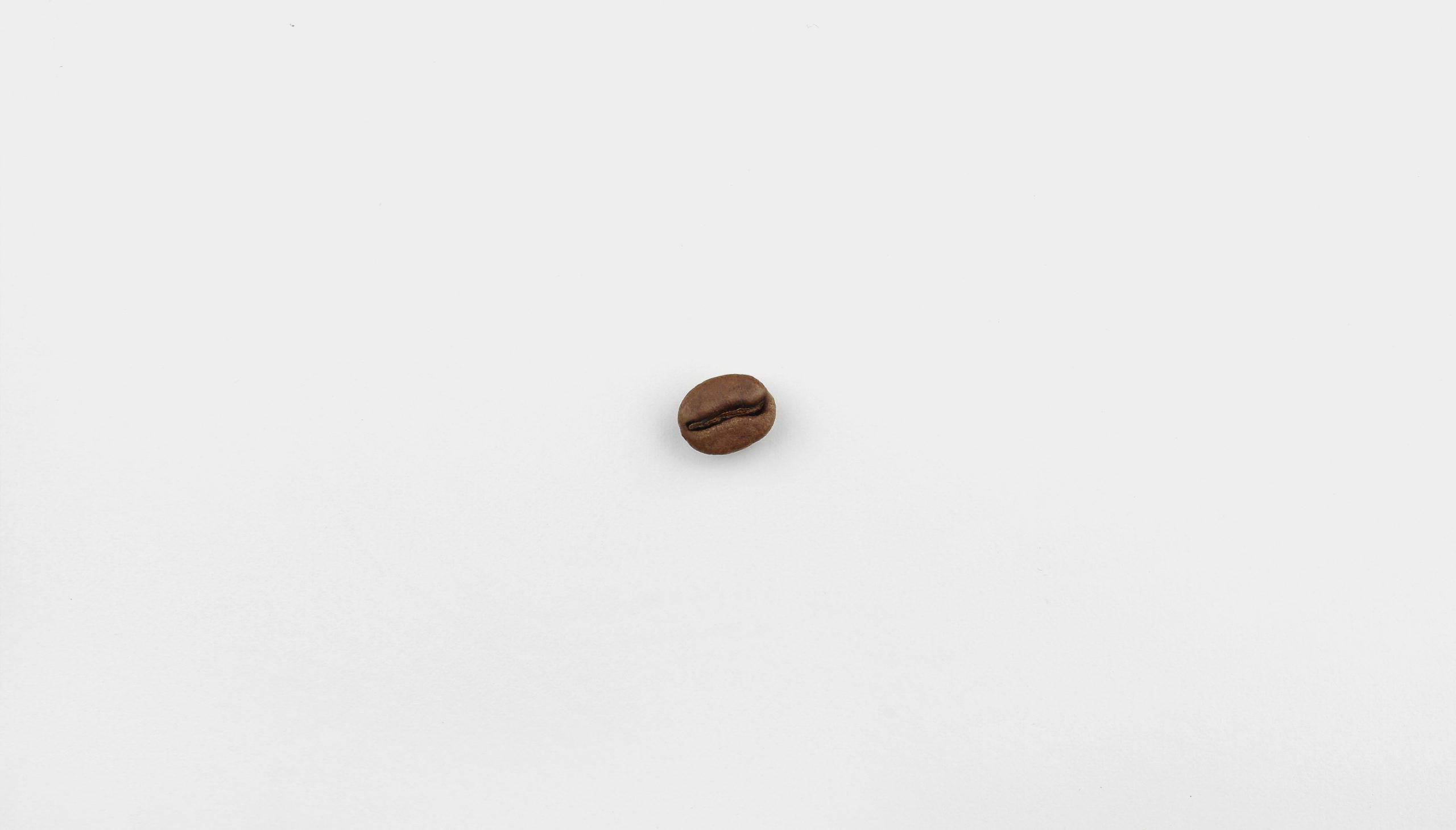 Kaffeebohne im Detail